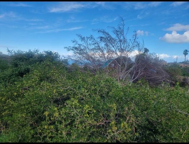 910M² VACANT LAND FOR SALE IN DANA BAY